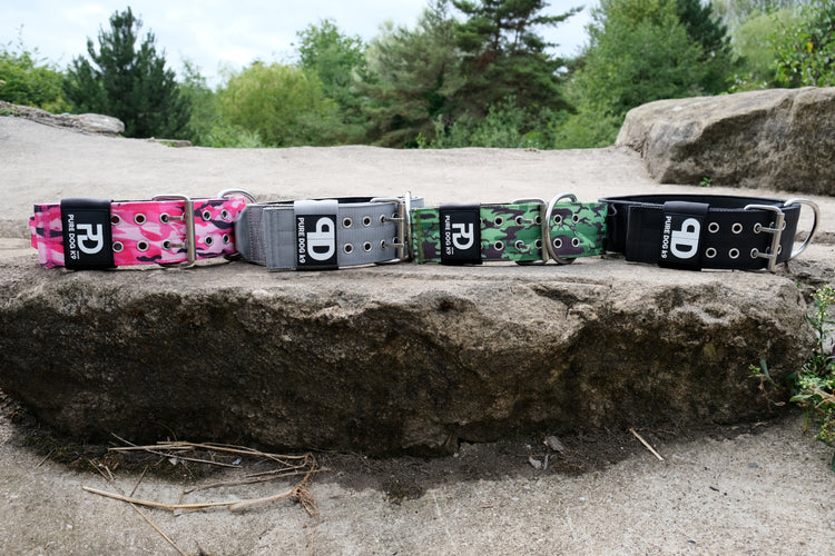 Sport Collars