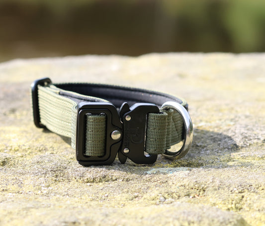 2.5cm Tactical Collar Kahki - Pure Dog K9