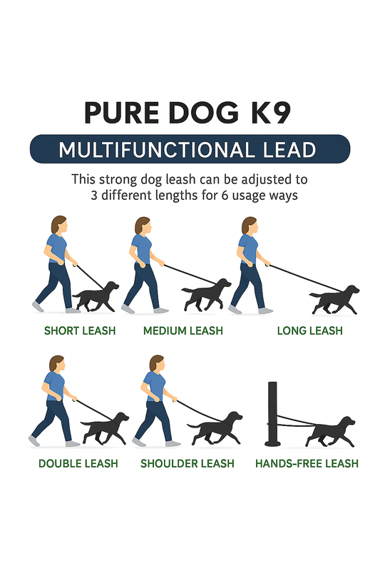 Multifunctional Lead Black 2.0 - Pure Dog K9