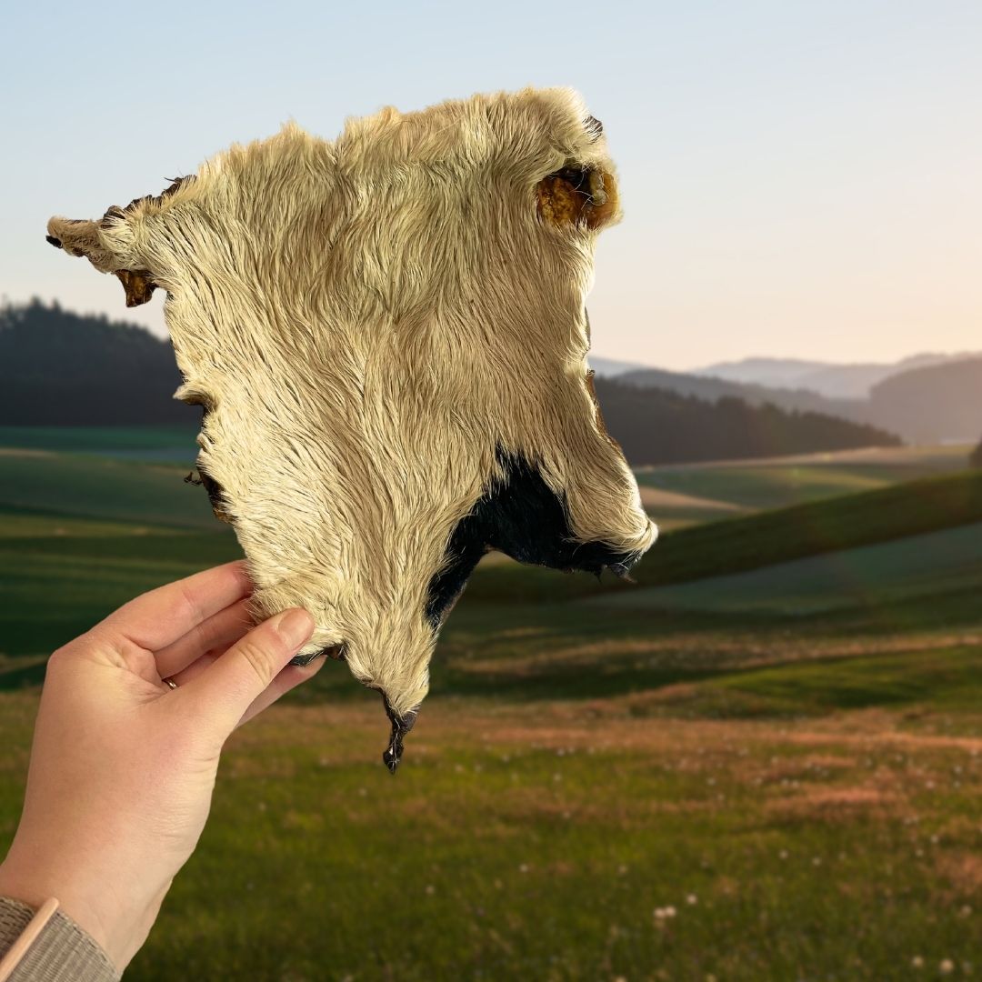 XL Hairy Beef Skin Dog Chew – 100% Natural Long-Lasting Chew - Pure Dog K9