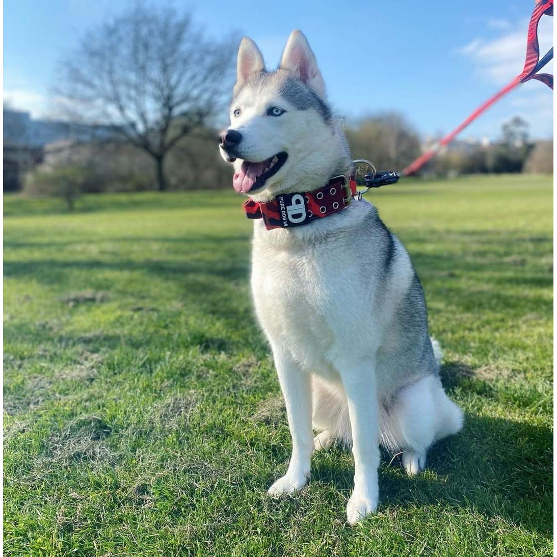 5cm Sport Collar Red Camo