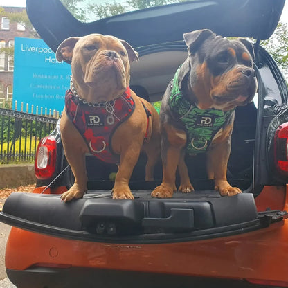 Comfort Harness Green Camo