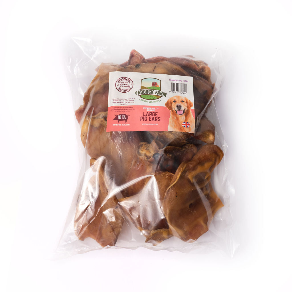 Paddock Farm - Pigs Ear 10pack - Natural Dog Treat - Pure Dog K9