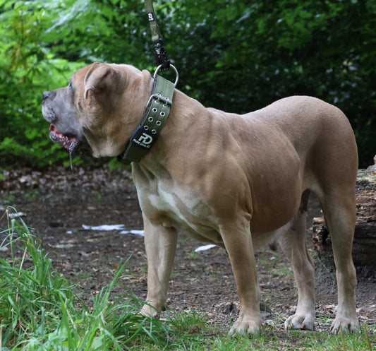 5cm Sport Collar Khaki - Pure Dog K9